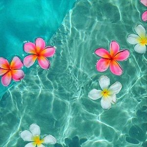 Meet your Posher, Zoe